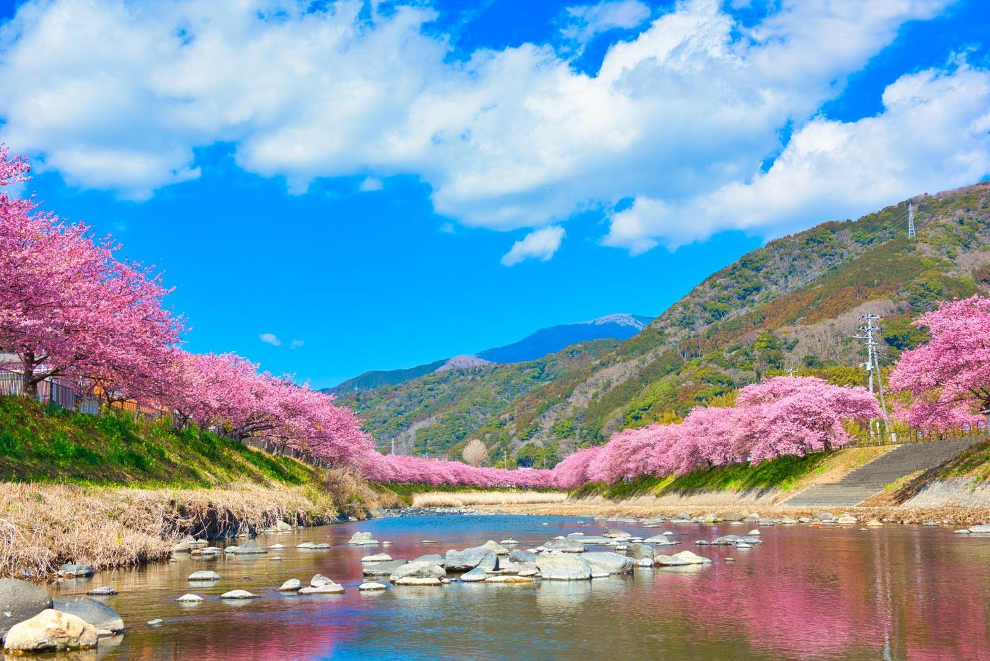 Ramjet Kisami Beach House Shimoda - Enjoy Sakura, Beach And Bbq! Екстериор снимка